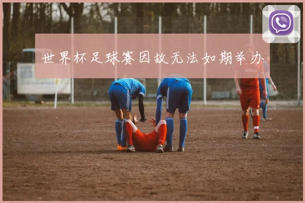 世界杯足球赛因故无法如期举办