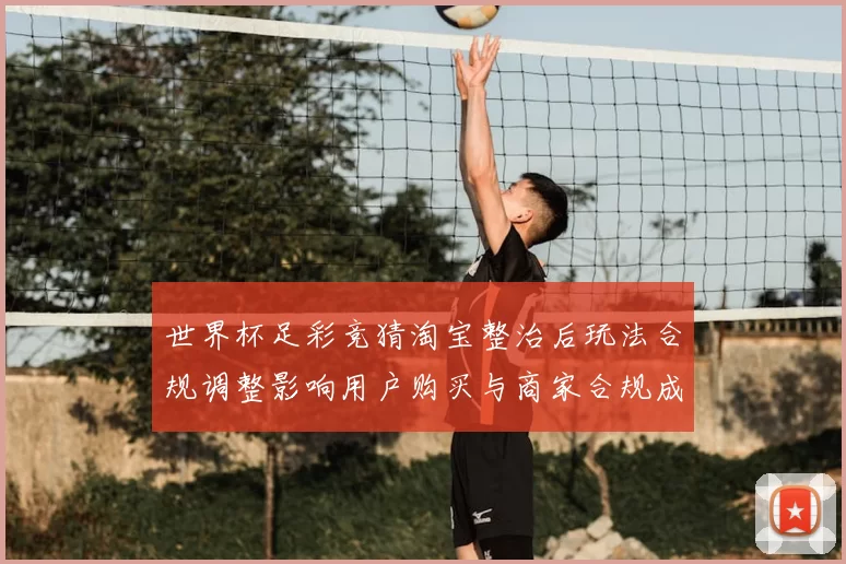世界杯足彩竞猜淘宝整治后玩法合规调整影响用户购买与商家合规成本